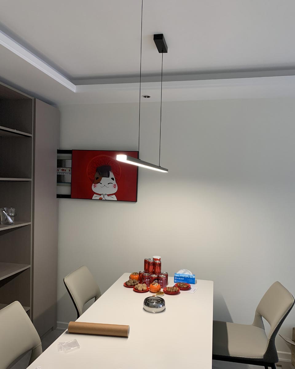 Suspension LED Extra-Longue - Ligne Épurée | Longéa